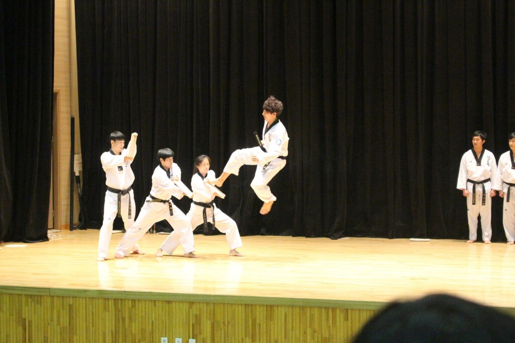 taekwondo-544831_1920