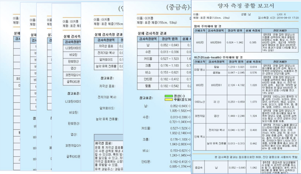 양자 공명 분석 및 모발 미네랄 검사지
